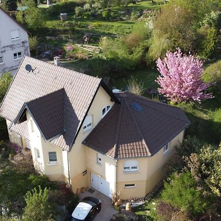 Chez Olivier Et Josette Sur Mulhouse Sud Apartment Illfurth Ngoại thất bức ảnh