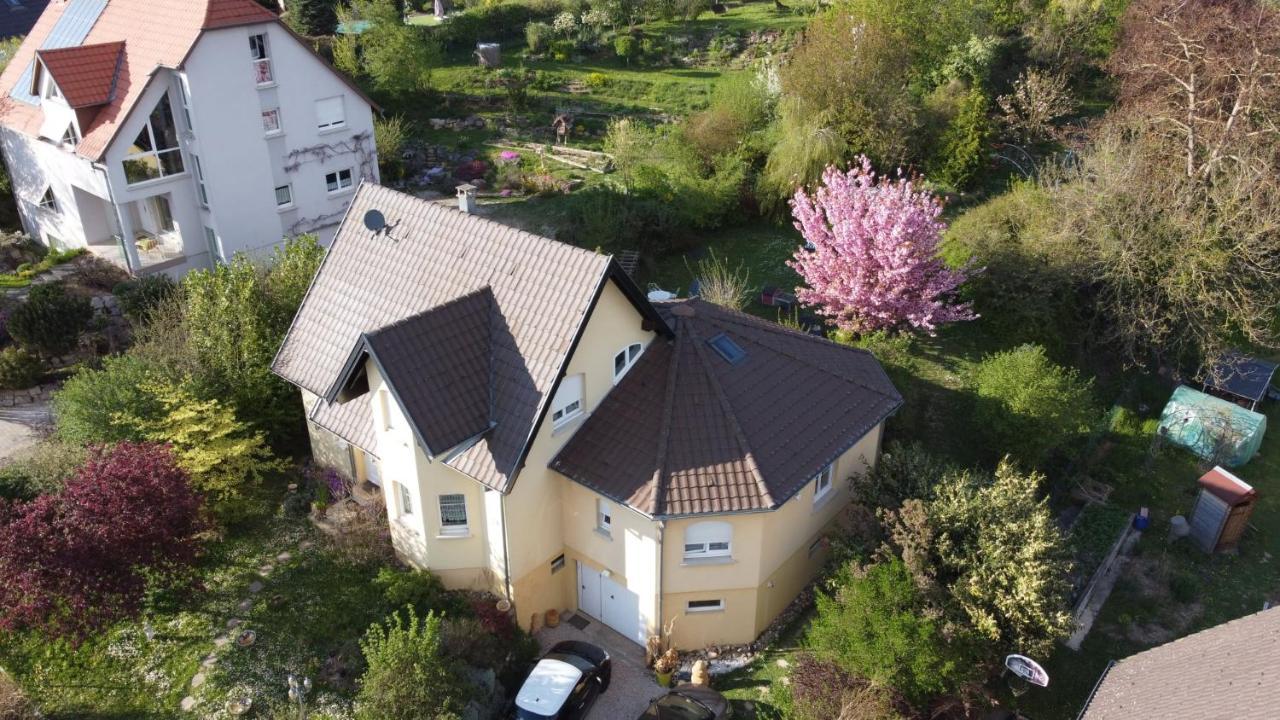 Chez Olivier Et Josette Sur Mulhouse Sud Apartment Illfurth Ngoại thất bức ảnh