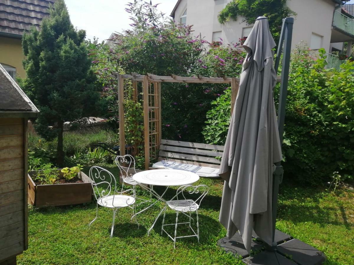 Chez Olivier Et Josette Sur Mulhouse Sud Apartment Illfurth Ngoại thất bức ảnh