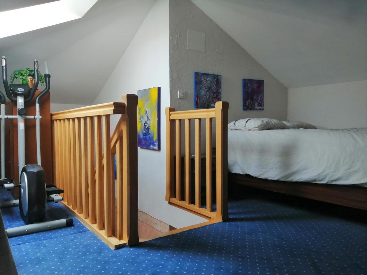 Chez Olivier Et Josette Sur Mulhouse Sud Apartment Illfurth Ngoại thất bức ảnh